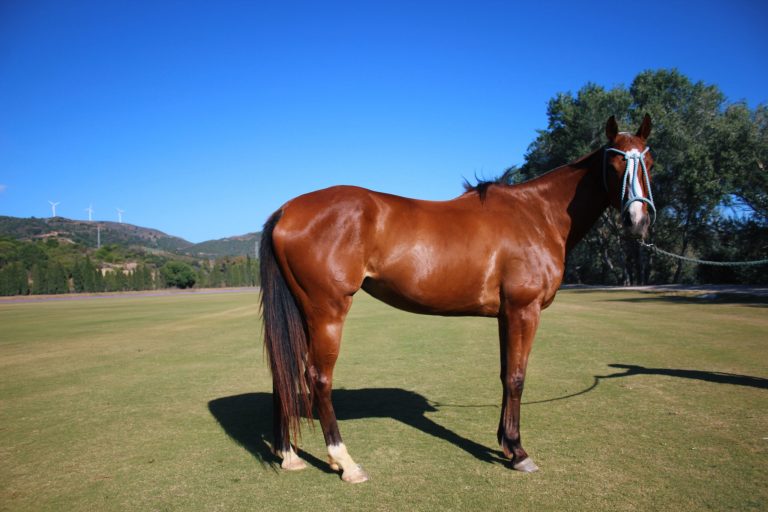 Processed with VSCO with l4 preset